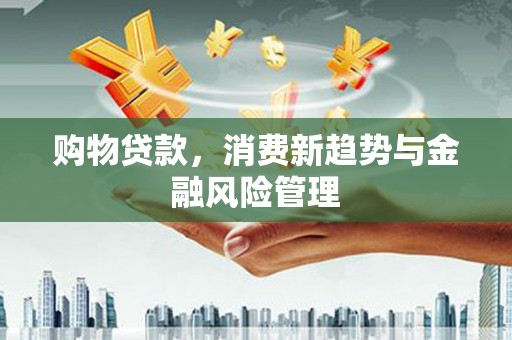 鹤岗购物贷款，消费新趋势与金融风险管理