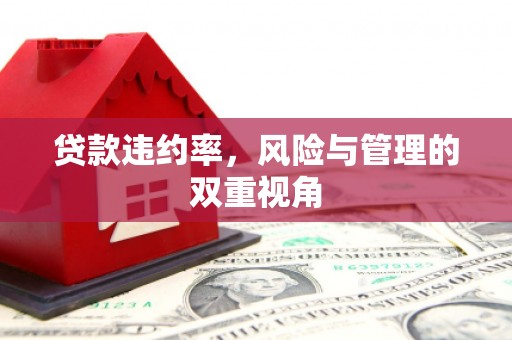 鹤岗贷款违约率，风险与管理的双重视角