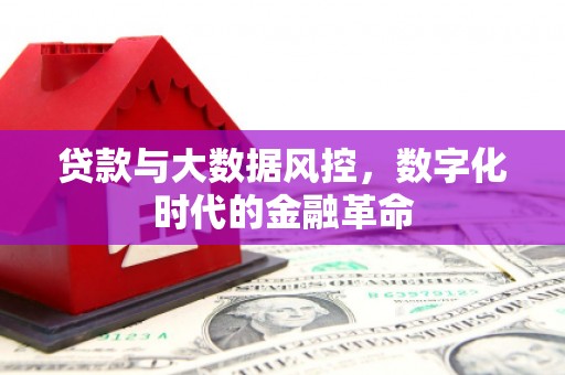 鹤岗贷款与大数据风控，数字化时代的金融革命