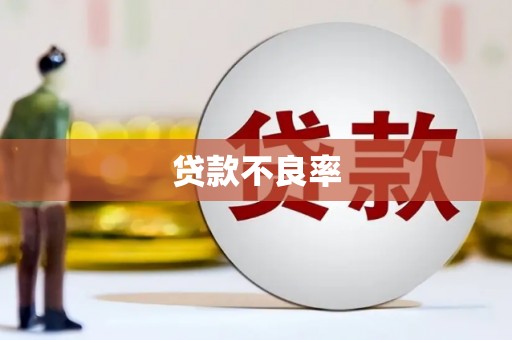 鹤岗贷款不良率