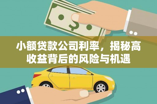 鹤岗小额贷款公司利率，揭秘高收益背后的风险与机遇