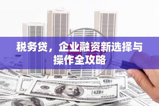 鹤岗税务贷，企业融资新选择与操作全攻略