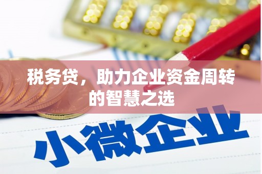 鹤岗税务贷，助力企业资金周转的智慧之选