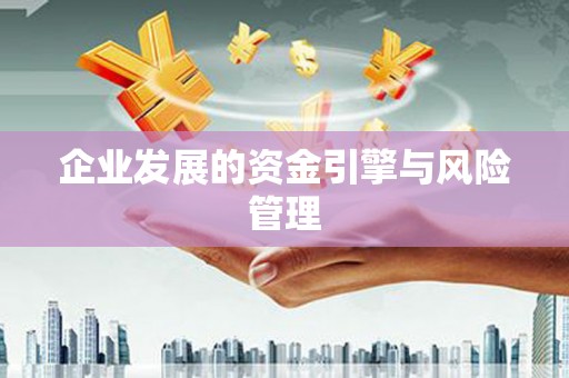 鹤岗企业发展的资金引擎与风险管理