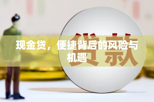 鹤岗现金贷，便捷背后的风险与机遇
