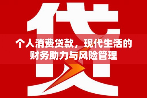 鹤岗个人消费贷款，现代生活的财务助力与风险管理