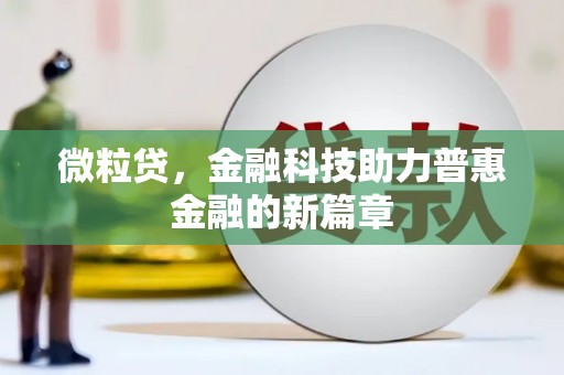 鹤岗微粒贷，金融科技助力普惠金融的新篇章