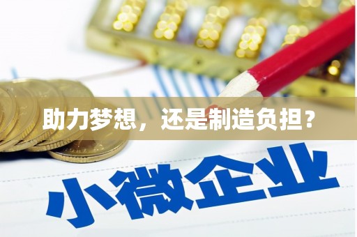 鹤岗助力梦想，还是制造负担？