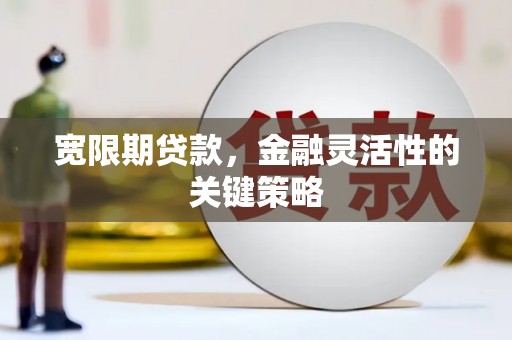鹤岗宽限期贷款，金融灵活性的关键策略