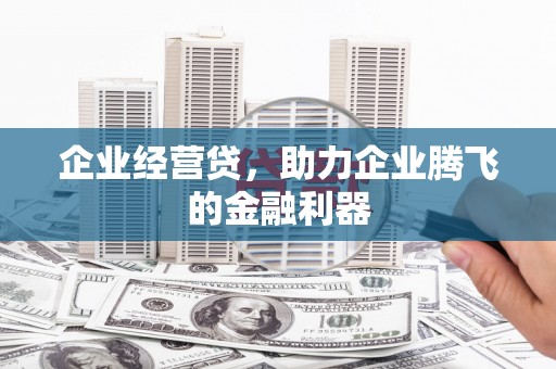 鹤岗企业经营贷，助力企业腾飞的金融利器
