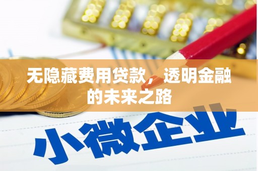 鹤岗无隐藏费用贷款，透明金融的未来之路