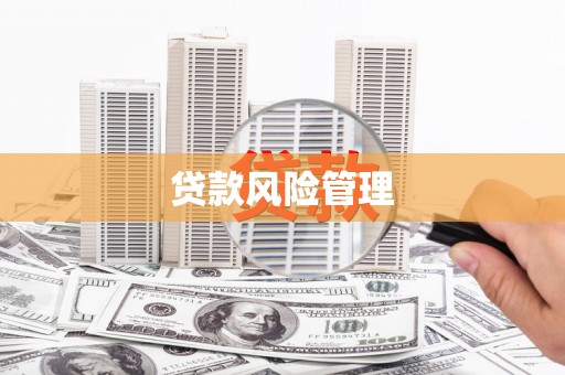 鹤岗贷款风险管理