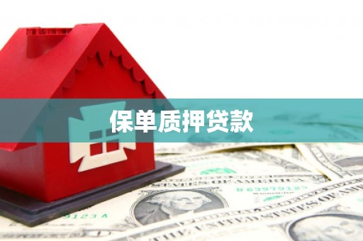 鹤岗保单质押贷款