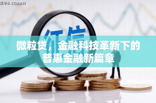 鹤岗微粒贷，金融科技革新下的普惠金融新篇章