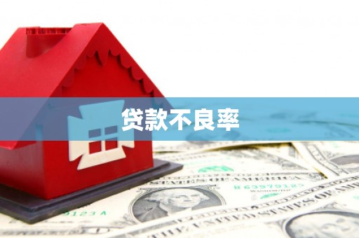 鹤岗贷款不良率