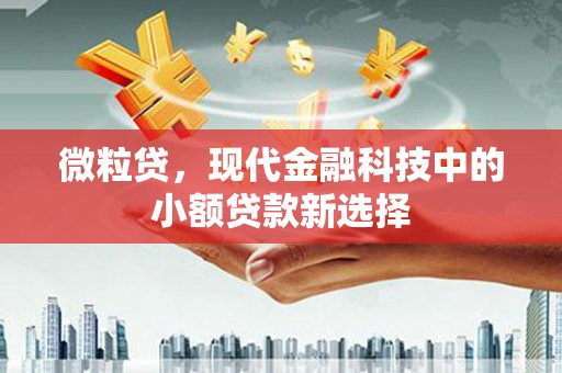 鹤岗微粒贷，现代金融科技中的小额贷款新选择