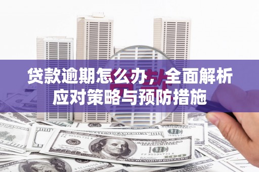 鹤岗贷款逾期怎么办，全面解析应对策略与预防措施