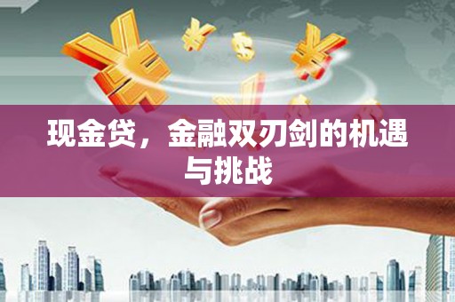 鹤岗现金贷，金融双刃剑的机遇与挑战