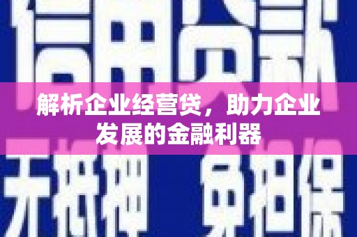 鹤岗解析企业经营贷，助力企业发展的金融利器