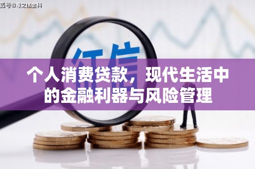 鹤岗个人消费贷款，现代生活中的金融利器与风险管理