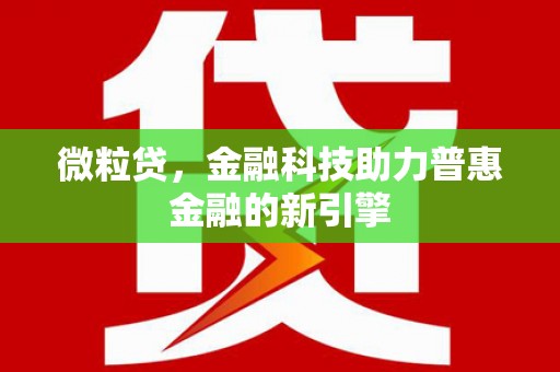 鹤岗微粒贷，金融科技助力普惠金融的新引擎