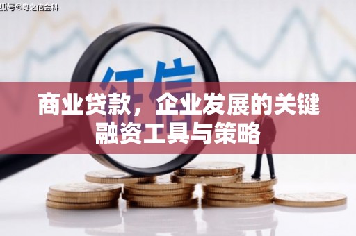 鹤岗商业贷款，企业发展的关键融资工具与策略