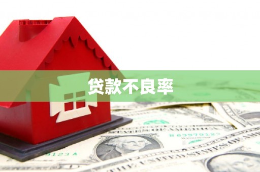 鹤岗贷款不良率