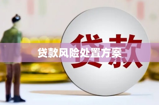 鹤岗贷款风险处置方案