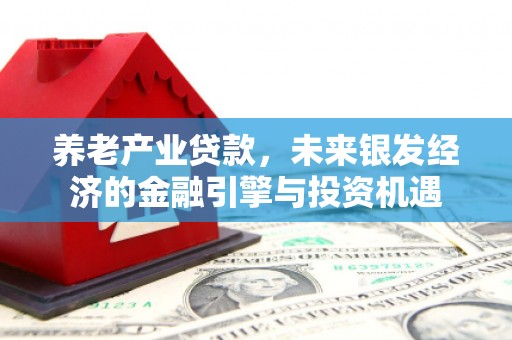 鹤岗养老产业贷款，未来银发经济的金融引擎与投资机遇