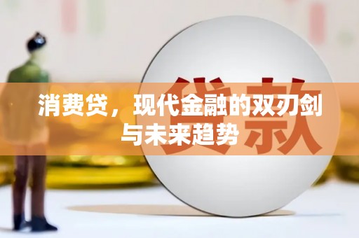 鹤岗消费贷，现代金融的双刃剑与未来趋势