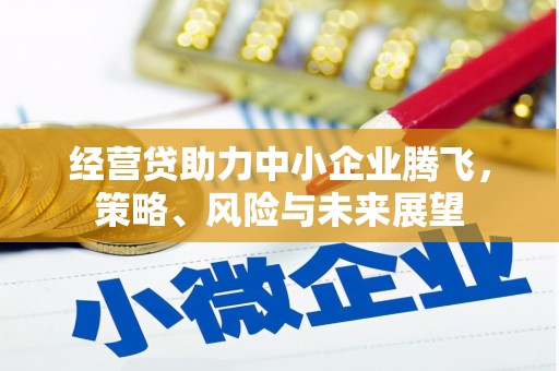 鹤岗经营贷助力中小企业腾飞，策略、风险与未来展望