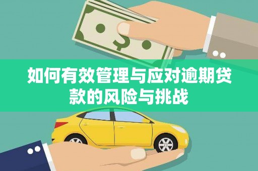 鹤岗如何有效管理与应对逾期贷款的风险与挑战