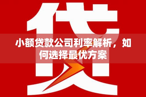 鹤岗小额贷款公司利率解析，如何选择最优方案