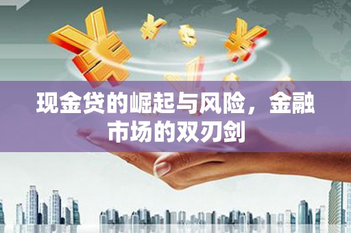 鹤岗现金贷的崛起与风险，金融市场的双刃剑