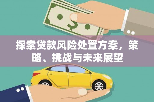 鹤岗探索贷款风险处置方案，策略、挑战与未来展望