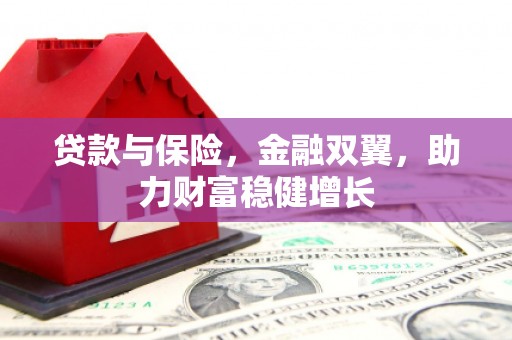 鹤岗贷款与保险，金融双翼，助力财富稳健增长