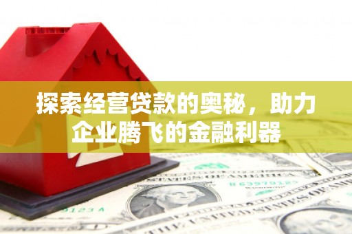 鹤岗探索经营贷款的奥秘，助力企业腾飞的金融利器