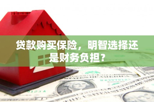 鹤岗贷款购买保险，明智选择还是财务负担？