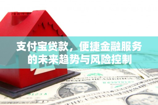 鹤岗支付宝贷款，便捷金融服务的未来趋势与风险控制