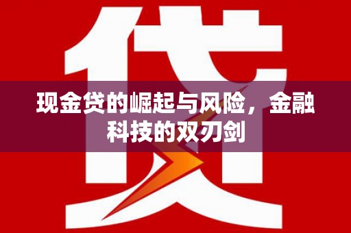 鹤岗现金贷的崛起与风险，金融科技的双刃剑