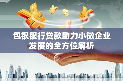 鹤岗包银银行贷款助力小微企业发展的全方位解析 鹤岗包银银行贷款助力小微企业发展的全方位解析