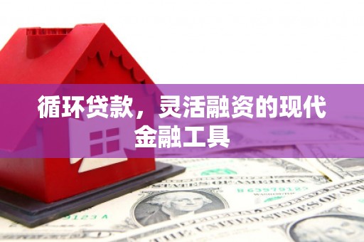 鹤岗循环贷款，灵活融资的现代金融工具