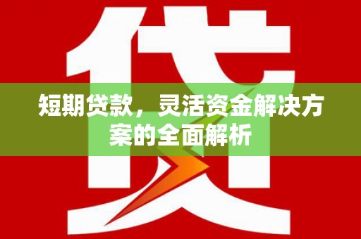 鹤岗短期贷款，灵活资金解决方案的全面解析