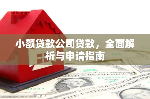鹤岗小额贷款公司贷款，全面解析与申请指南