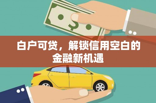 鹤岗白户可贷，解锁信用空白的金融新机遇
