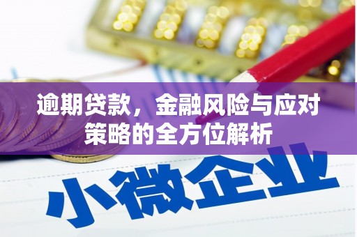 鹤岗逾期贷款，金融风险与应对策略的全方位解析