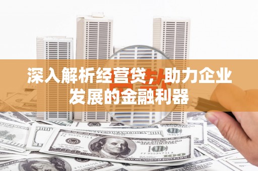 鹤岗深入解析经营贷，助力企业发展的金融利器