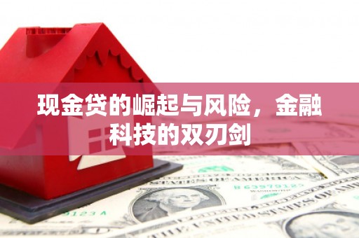 鹤岗现金贷的崛起与风险，金融科技的双刃剑