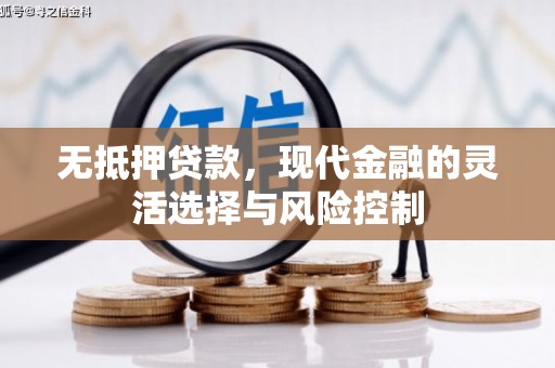 鹤岗无抵押贷款，现代金融的灵活选择与风险控制