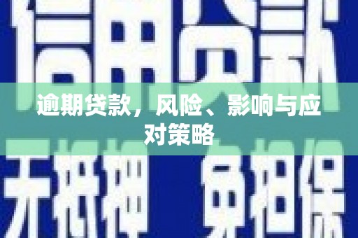 鹤岗逾期贷款，风险、影响与应对策略